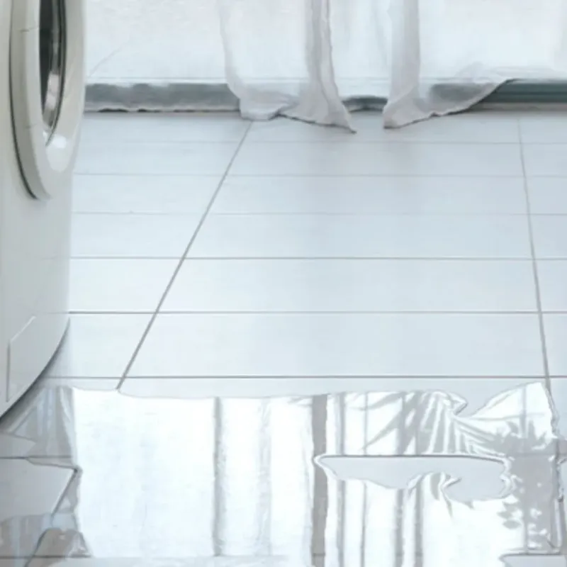 Appliance Leak Cleanup in Guyton, GA