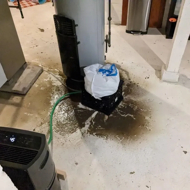 Sewage Backup Cleanup Service in Guyton, GA